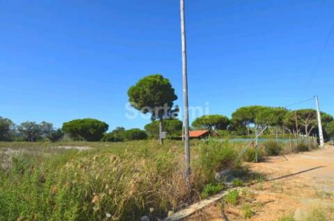 Terreno Rústico  Venda em Quarteira,Loulé