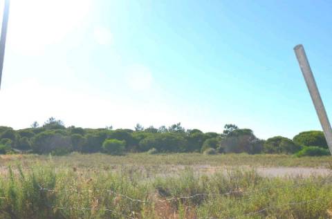 Terreno Rústico  Venda em Quarteira,Loulé