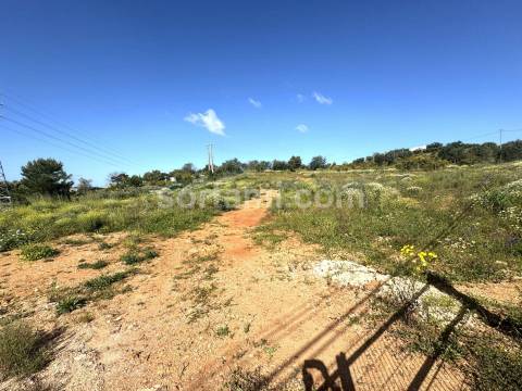 Terreno Para Construção  Venda em Silves,Silves