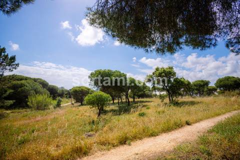 Terreno Para Construção  Venda em Montenegro,Faro