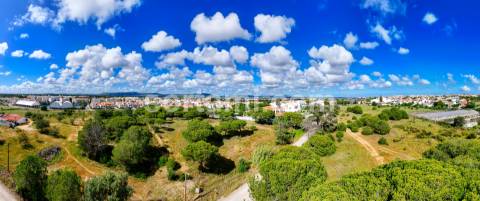 Terreno Para Construção  Venda em Montenegro,Faro