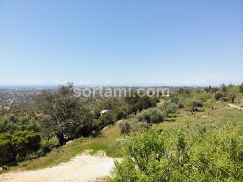 Terreno Para Construção  Venda em Loulé (São Clemente),Loulé