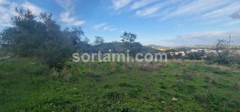 Terreno Rústico  Venda em São Brás de Alportel,São Brás de Alportel