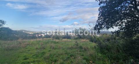 Terreno Rústico  Venda em São Brás de Alportel,São Brás de Alportel