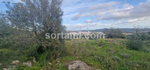 Terreno Rústico  Venda em São Brás de Alportel,São Brás de Alportel