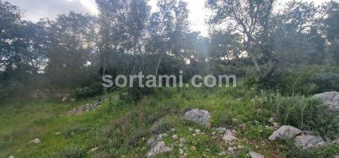 Terreno Rústico  Venda em São Brás de Alportel,São Brás de Alportel