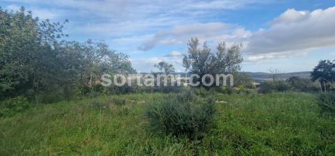 Terreno Rústico  Venda em São Brás de Alportel,São Brás de Alportel