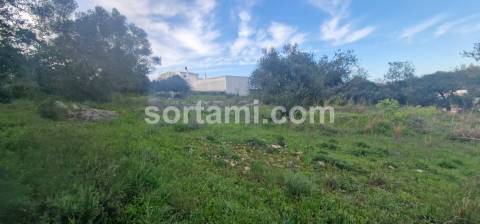 Terreno Rústico  Venda em São Brás de Alportel,São Brás de Alportel