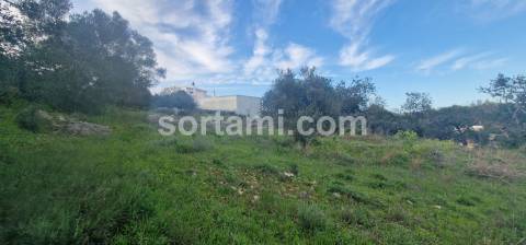 Terreno Rústico  Venda em São Brás de Alportel,São Brás de Alportel
