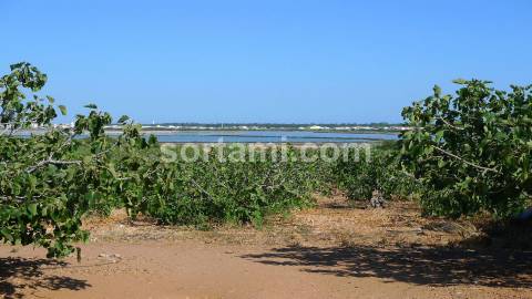 Herdade T4 Venda em Castro Marim,Castro Marim