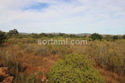 Terreno Rústico  Venda em Paderne,Albufeira