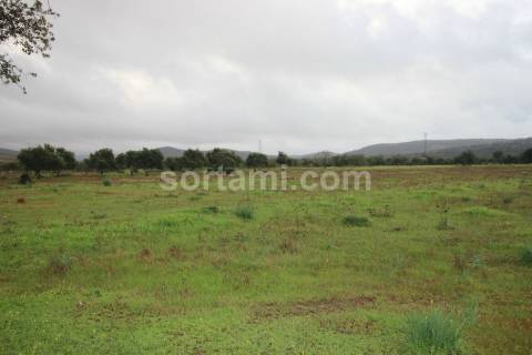 Terreno Rústico  Venda em Paderne,Albufeira