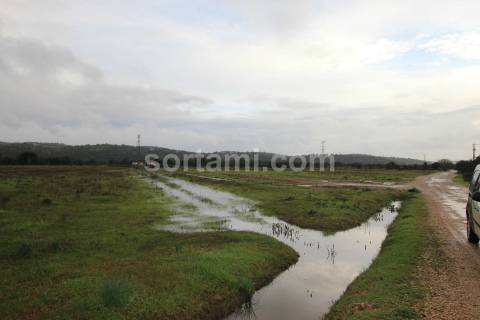 Terreno Rústico  Venda em Paderne,Albufeira