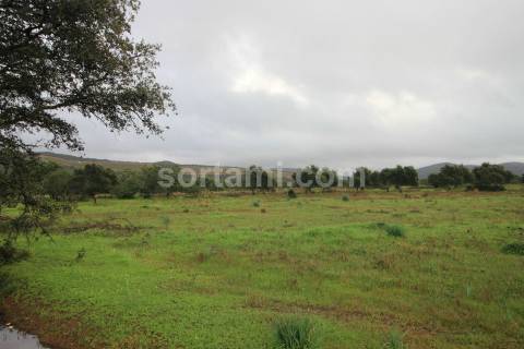 Terreno Rústico  Venda em Paderne,Albufeira