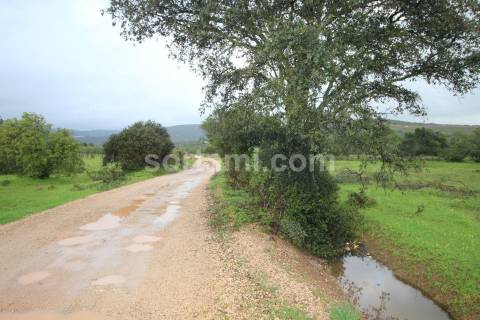Terreno Rústico  Venda em Paderne,Albufeira