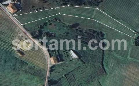 Terreno Rústico  Venda em Arcos e Mogofores,Anadia