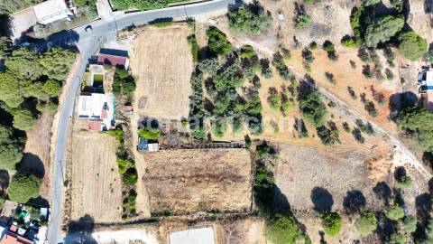 Moradia Isolada T3 Venda em Almancil,Loulé