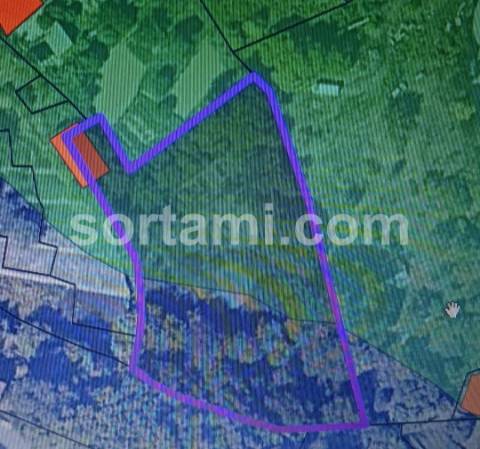 Terreno Rústico  Venda em Monchique,Monchique