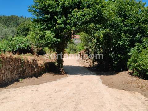 Terreno Rústico  Venda em Monchique,Monchique