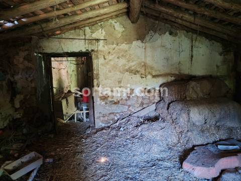 Terreno Rústico  Venda em Monchique,Monchique