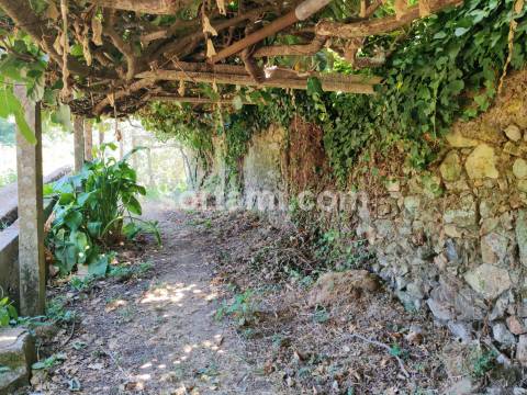 Terreno Rústico  Venda em Monchique,Monchique