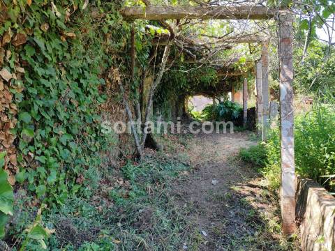 Terreno Rústico  Venda em Monchique,Monchique