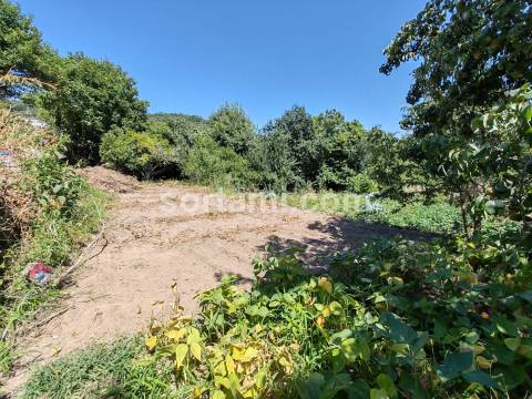 Terreno Rústico  Venda em Monchique,Monchique