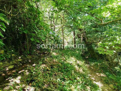 Terreno Rústico  Venda em Monchique,Monchique