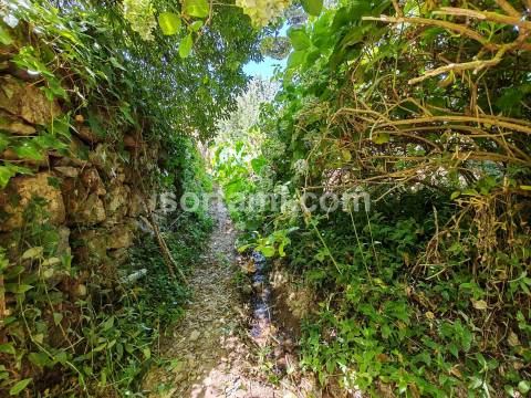 Terreno Rústico  Venda em Monchique,Monchique