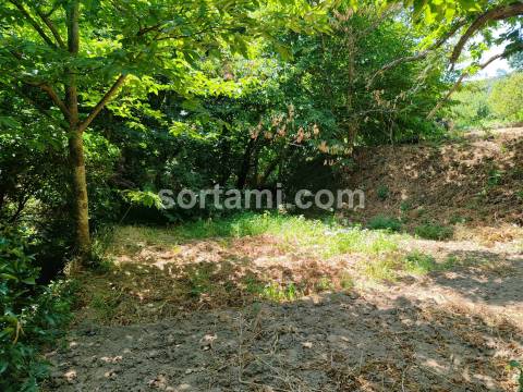 Terreno Rústico  Venda em Monchique,Monchique