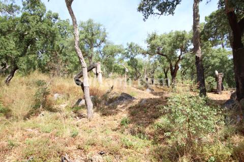 Moradia Isolada T0+2 Venda em Monchique,Monchique