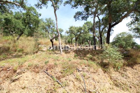 Moradia Isolada T0+2 Venda em Monchique,Monchique