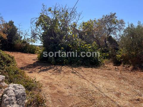Terreno Rústico  Venda em Boliqueime,Loulé