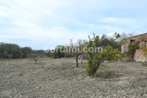 Moradia Devoluta T3 Venda em Loulé (São Sebastião),Loulé