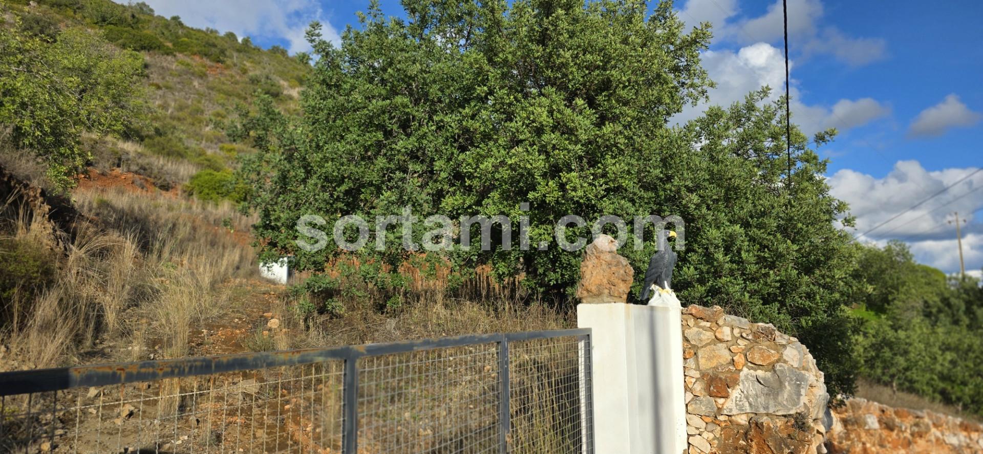 Terreno Rústico  Venda em Alte,Loulé
