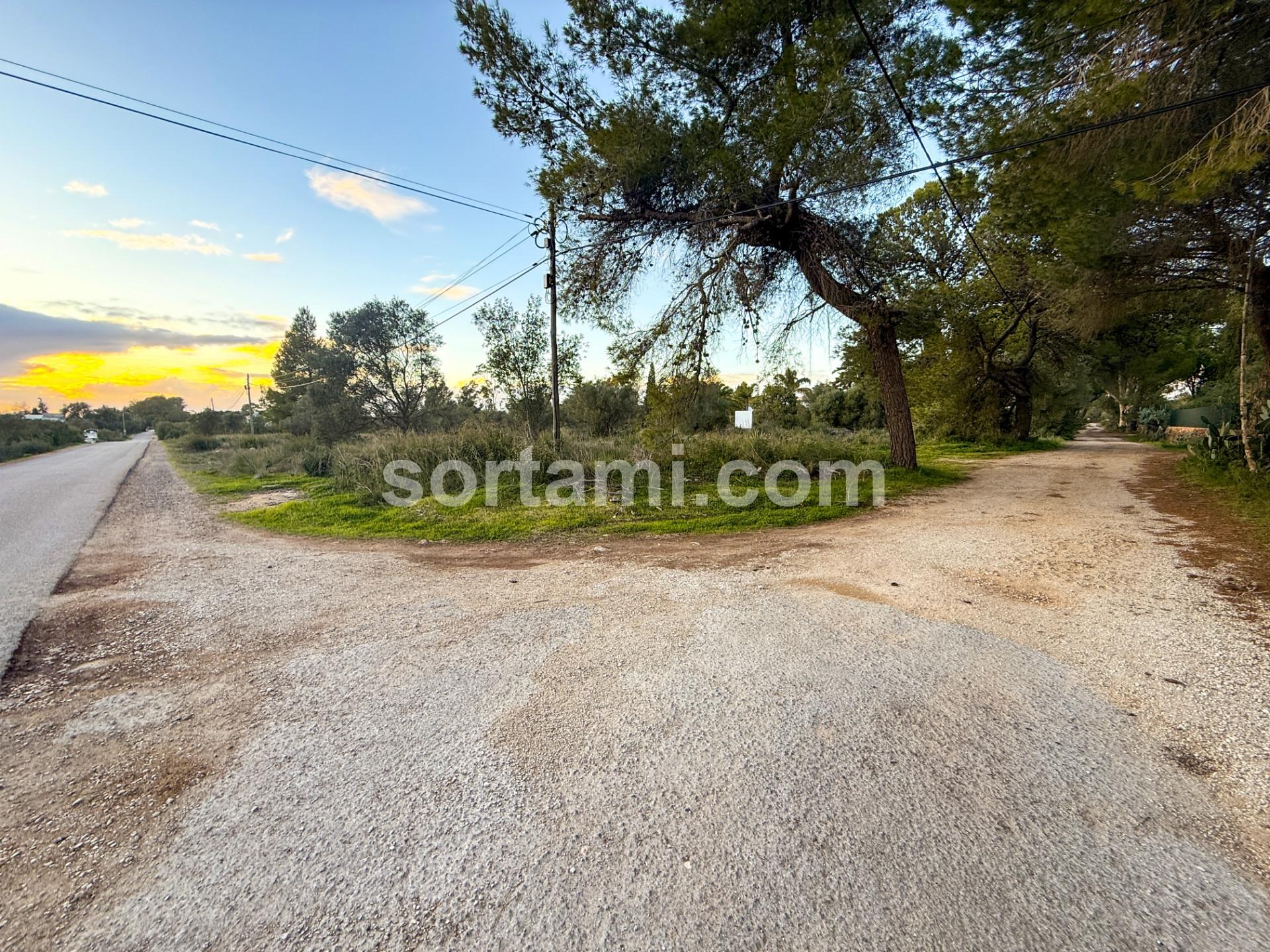 Terreno Rústico  Venda em Algoz e Tunes,Silves