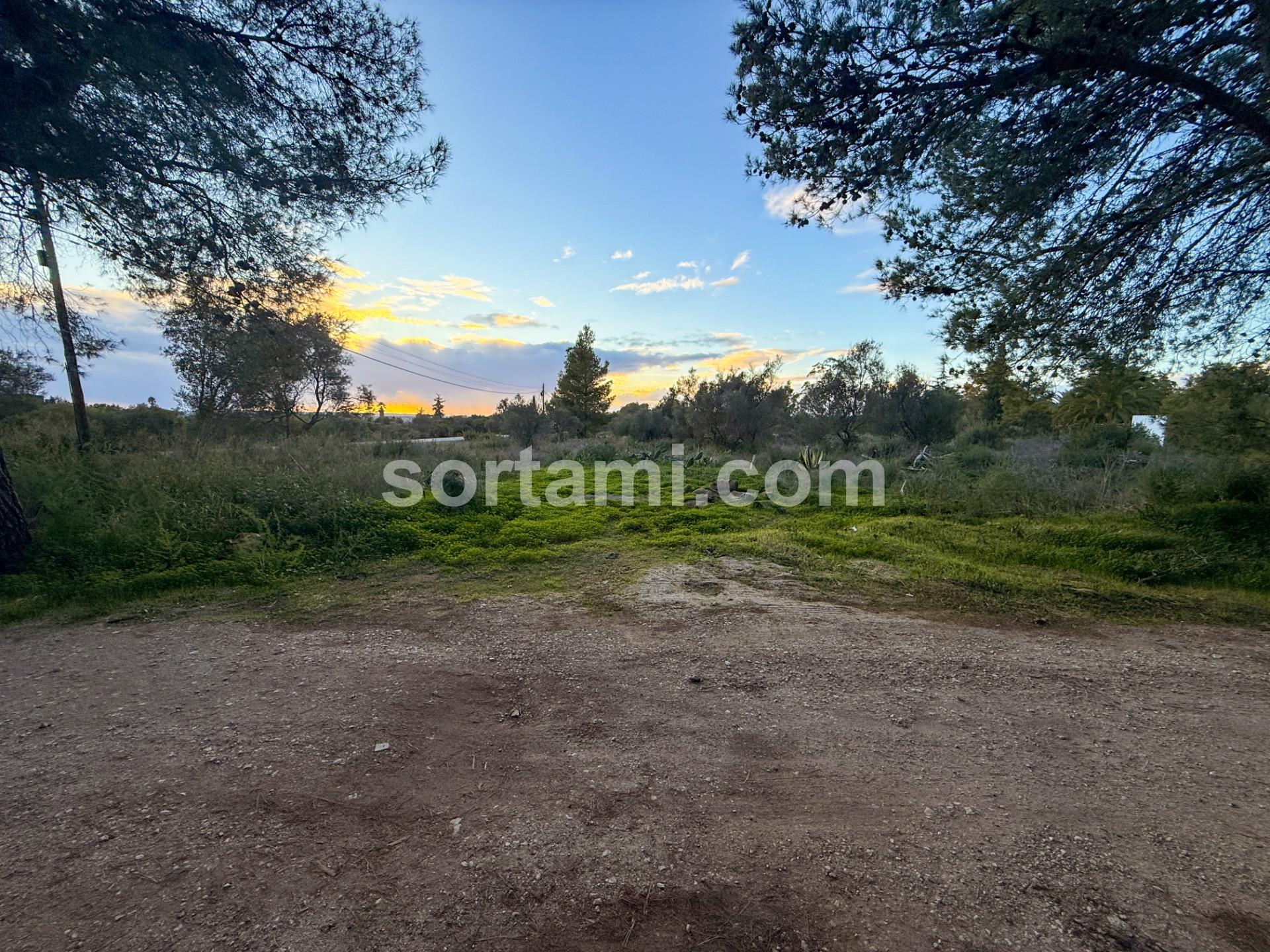 Terreno Rústico  Venda em Algoz e Tunes,Silves