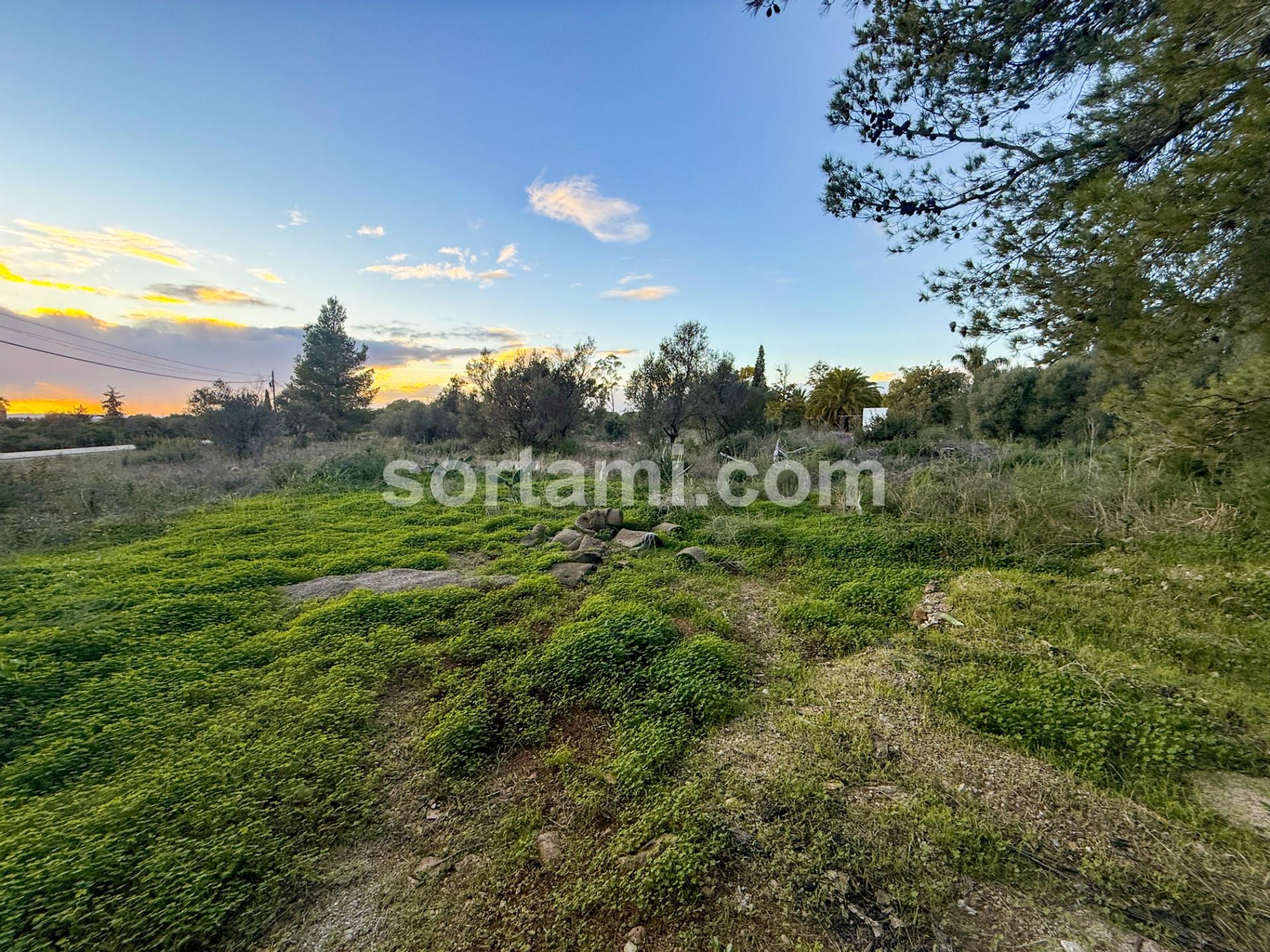 Terreno Rústico  Venda em Algoz e Tunes,Silves