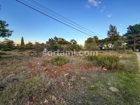 Terreno Rústico  Venda em Algoz e Tunes,Silves