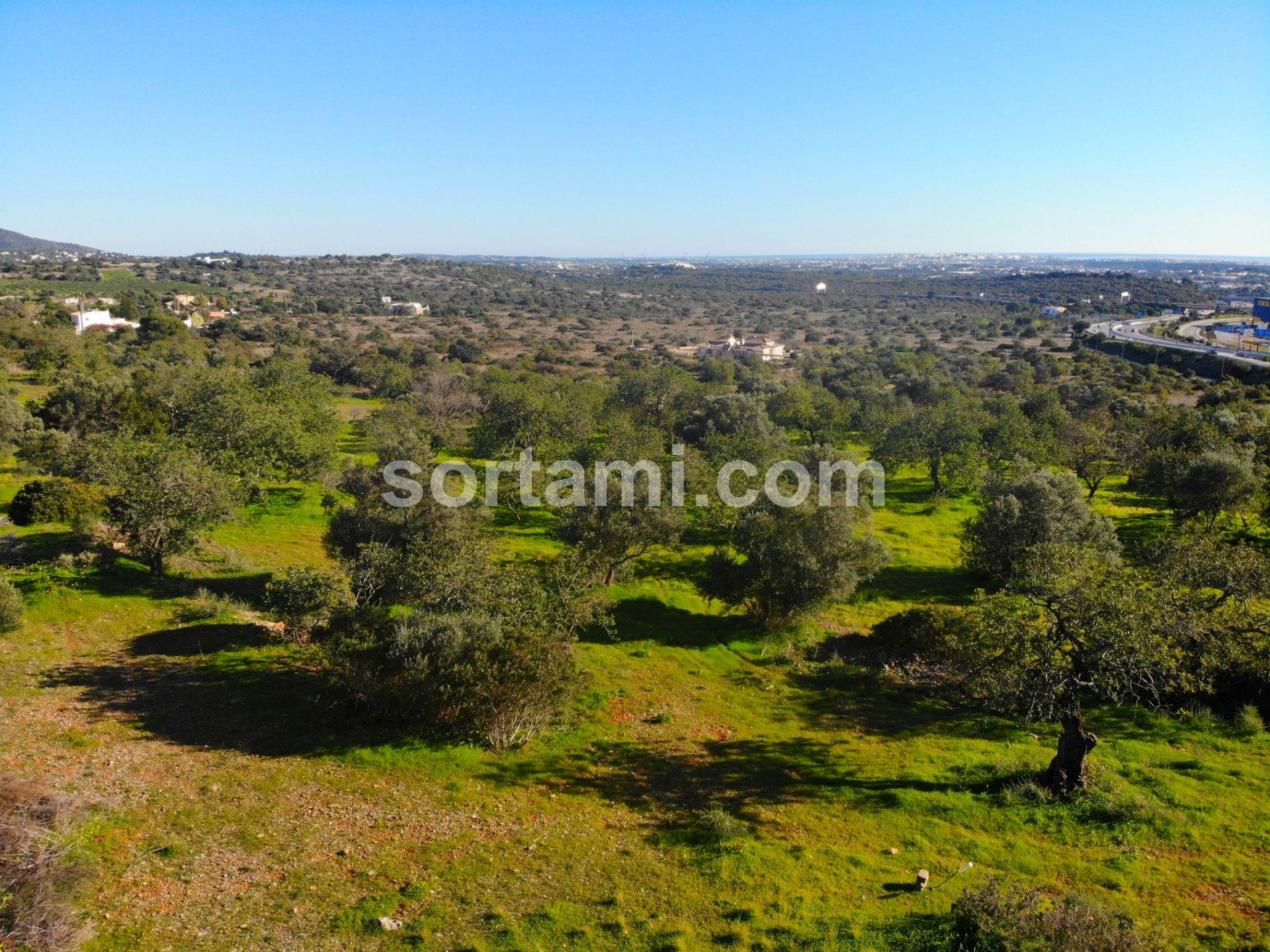 Lote de Terreno  Venda em Santa Bárbara de Nexe,Faro