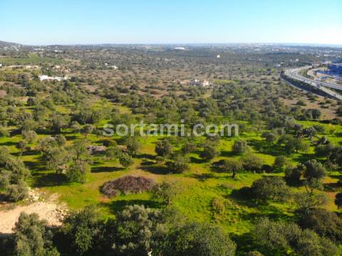 Lote de Terreno  Venda em Santa Bárbara de Nexe,Faro