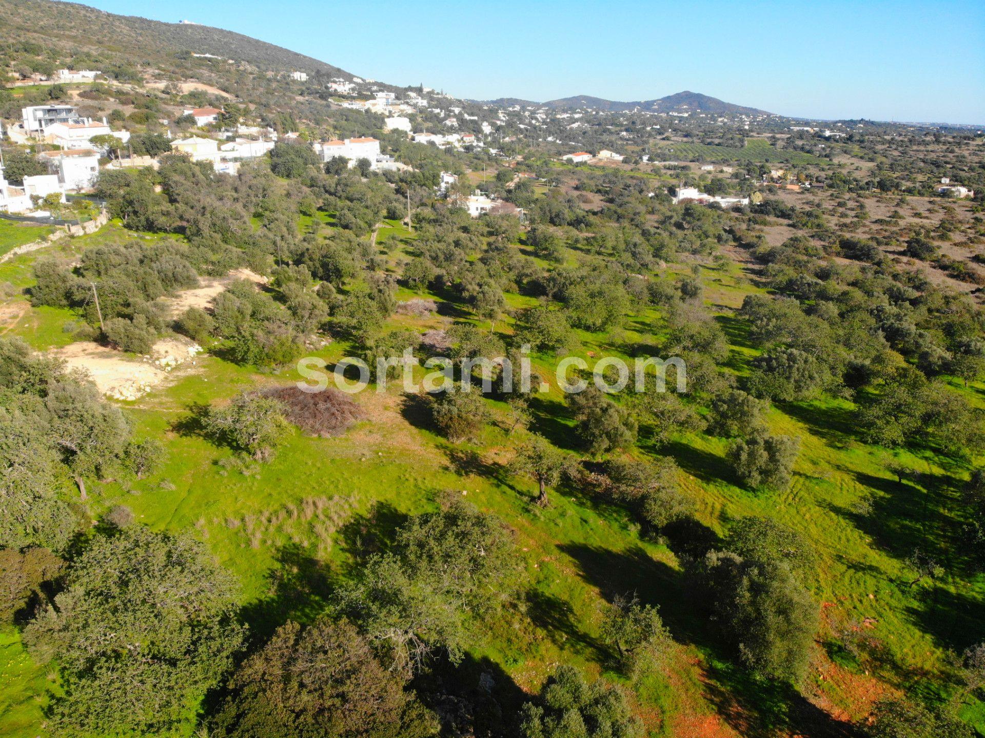 Lote de Terreno  Venda em Santa Bárbara de Nexe,Faro