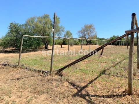 Terreno Para Construção  Venda em Pechão,Olhão