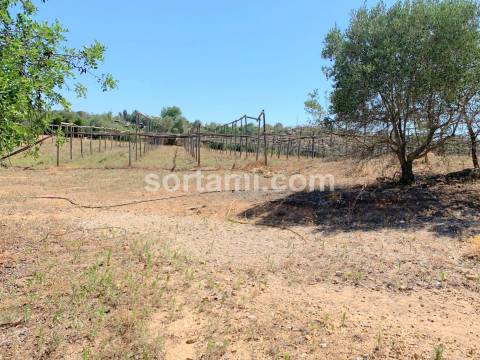 Terreno Para Construção  Venda em Pechão,Olhão