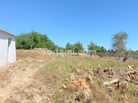 Terreno Para Construção  Venda em Pechão,Olhão