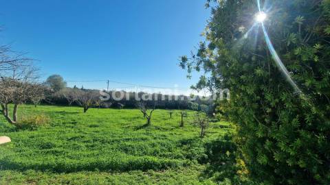 Moradia Isolada T4+1 Venda em Moncarapacho e Fuseta,Olhão