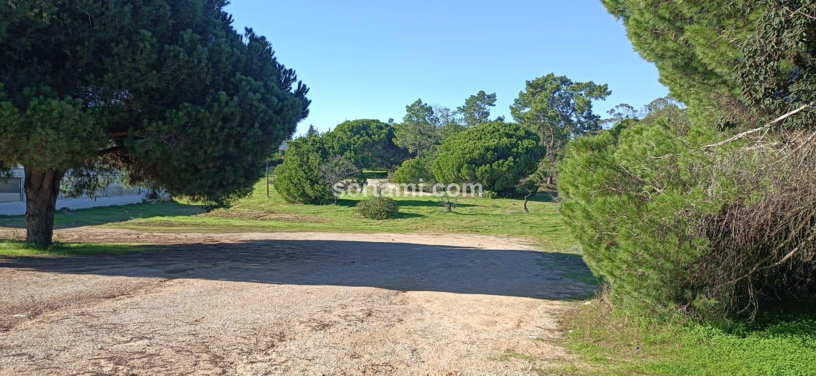 Terreno Rústico  Venda em Quarteira,Loulé