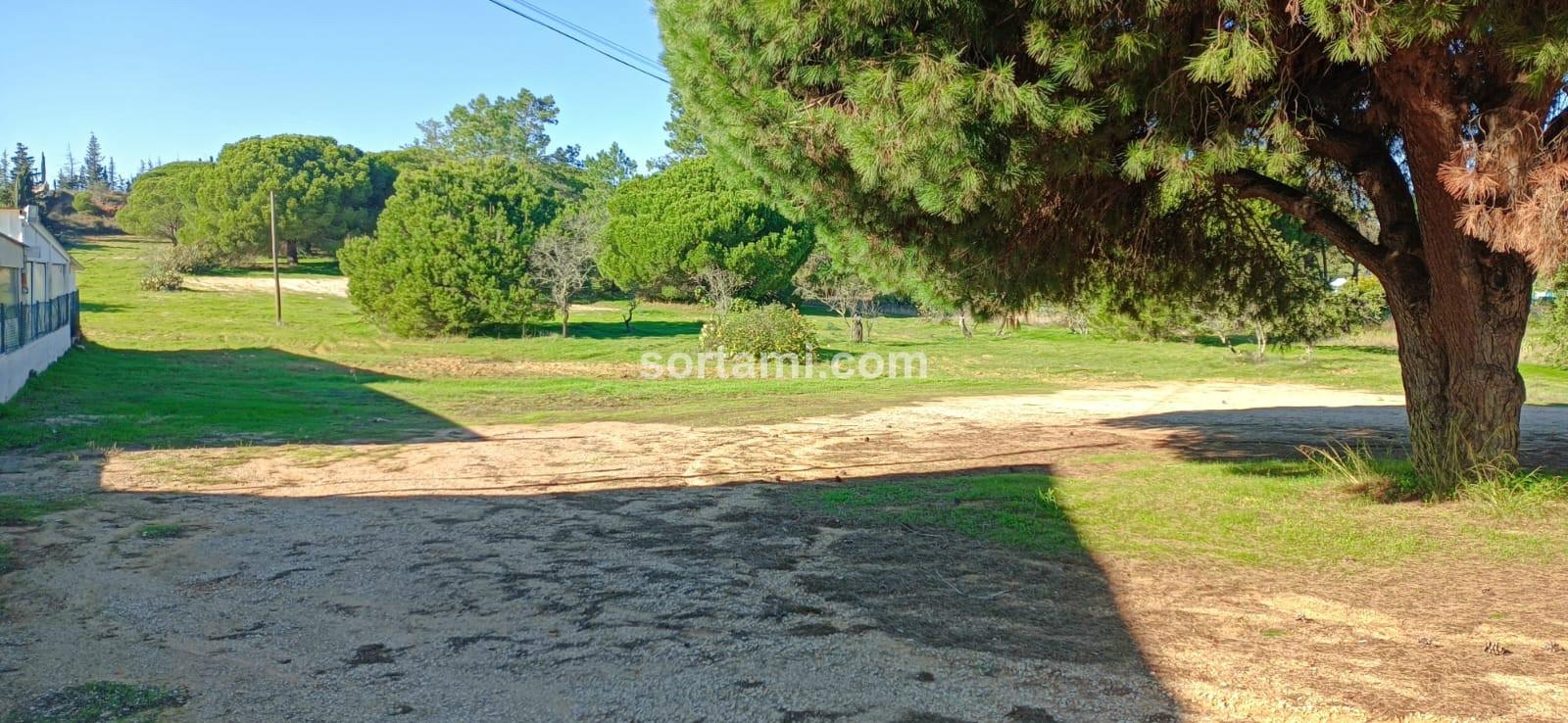 Terreno Rústico  Venda em Quarteira,Loulé