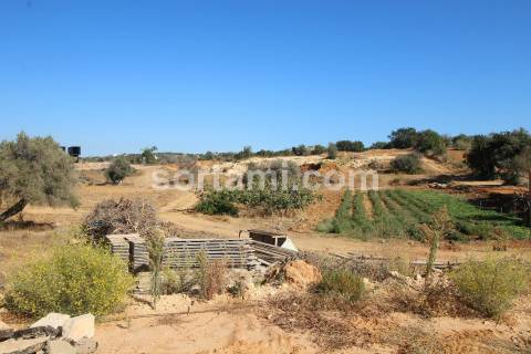 Quinta  Venda em Guia,Albufeira