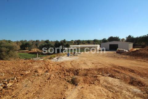 Quinta  Venda em Guia,Albufeira